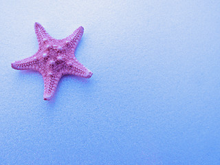 Image showing background with starfish