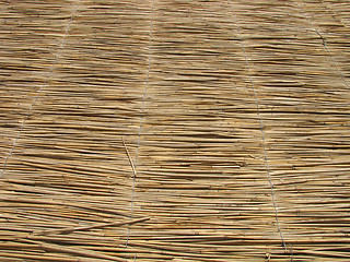 Image showing  roof made of cane