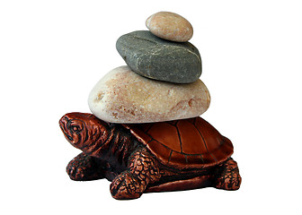 Image showing turtle carrying stones