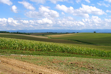 Image showing fields in alsace in france