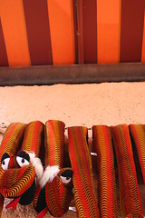 Image showing African bazaar tent with plush snake from Busch Gardens Tampa Florida