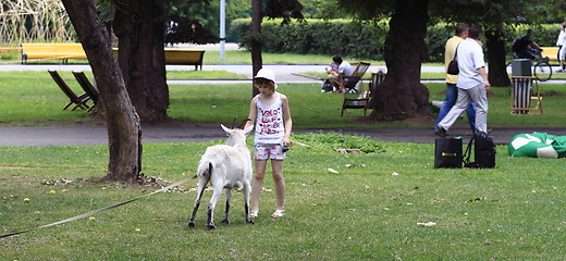 Image showing  recreation in the park