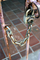 Image showing Chain and padlock on old gate