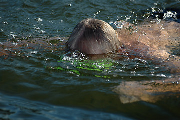 Image showing Diving boy