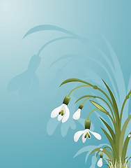 Image showing Flower background