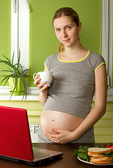 Image showing tender pregnant female with laptop