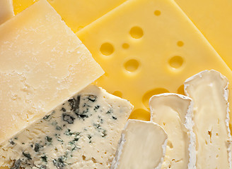 Image showing various types of cheese