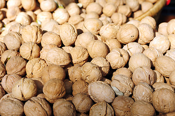 Image showing Walnuts