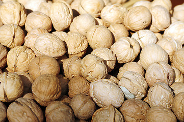 Image showing Walnuts