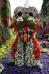 Image showing Flower dog