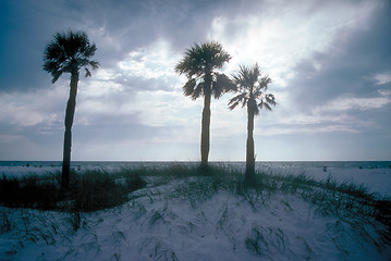 Image showing Three palm trees on beach with sunset in background