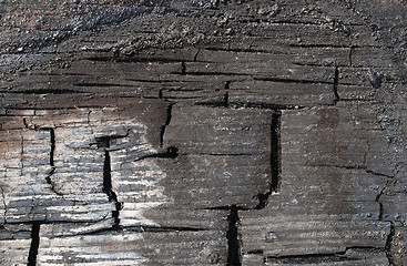 Image showing Burned wood