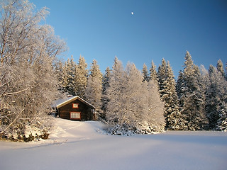 Image showing Winter landscape