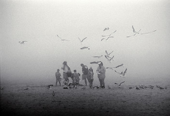 Image showing Family on foggy beach with seagulls