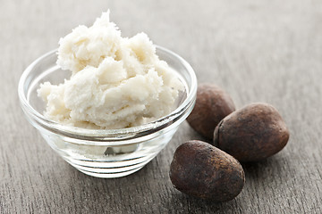 Image showing Shea butter and nuts in bowl