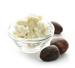 Image showing Shea butter and nuts in bowl