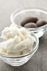 Image showing Shea butter and nuts in bowls