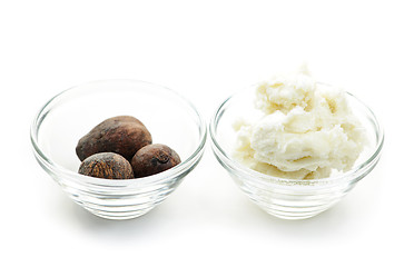 Image showing Shea butter and nuts in bowls