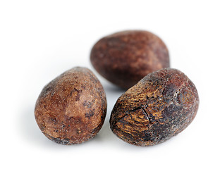 Image showing Shea nuts