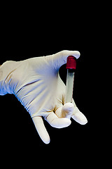 Image showing Covered in white glove holding test tube