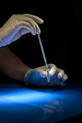 Image showing Hands in white gloves hold pipette