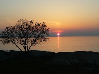 Image showing Sunset