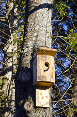 Image showing Newly nailed wooden bird nesting-box on tree.