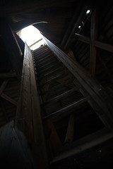 Image showing stairway to light