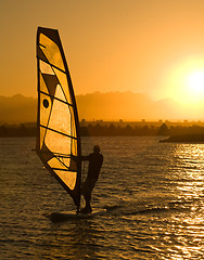 Image showing windsurfing