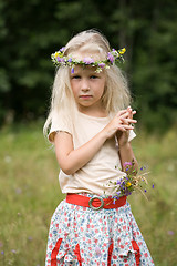 Image showing little girl standing at the meadow