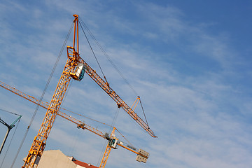 Image showing Cranes up the sky