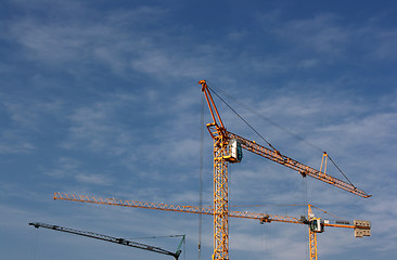 Image showing Cranes up the sky