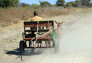 Image showing Donkey Cart