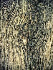 Image showing old wooden texture