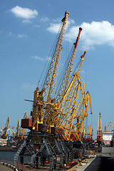 Image showing cargo seaport cranes