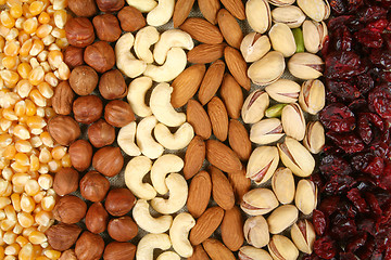 Image showing Nuts