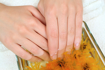 Image showing Female hands in spa
