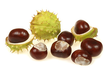 Image showing Chestnuts