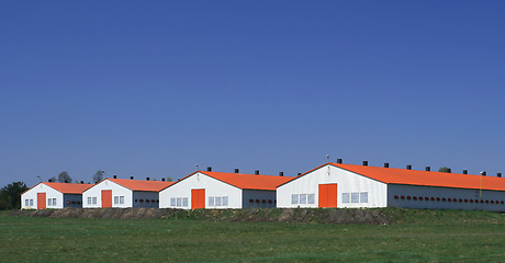 Image showing Modern farm