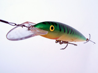 Image showing Lure