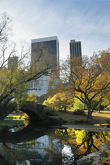 Image showing Central Park in NYC