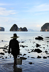 Image showing Two women collecting shellfish