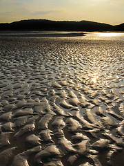 Image showing Beach at Low Tide