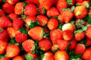 Image showing Strawberry