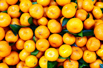 Image showing Oranges