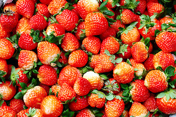 Image showing Strawberry