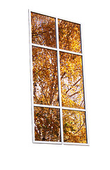 Image showing autumnal window