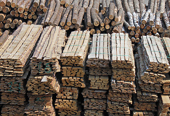 Image showing piles of planks and logs