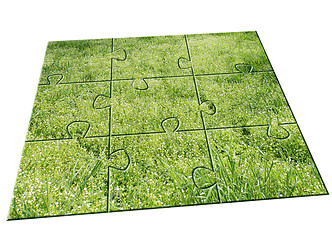 Image showing jigsaw puzzle Grass