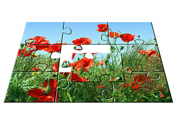 Image showing jigsaw puzzle Poppies